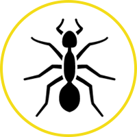 Ant Icon