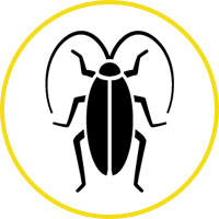 Roach Icon