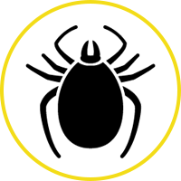 Tick Icon