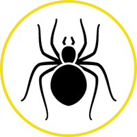 Spider Icon