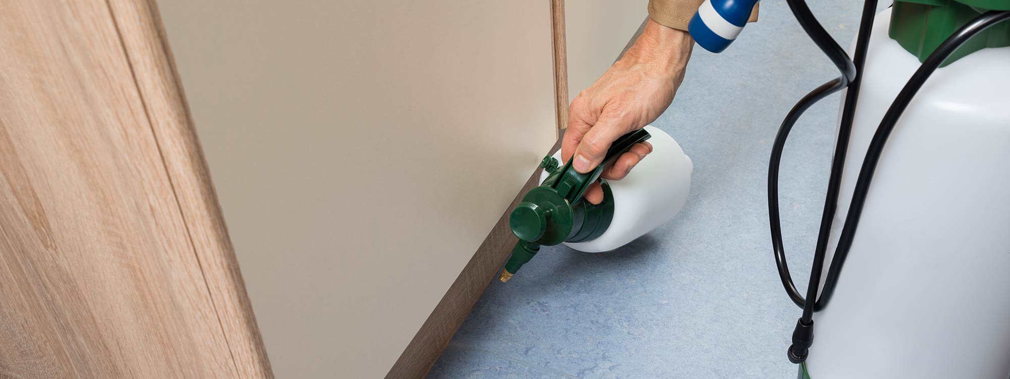 Man Spraying Home